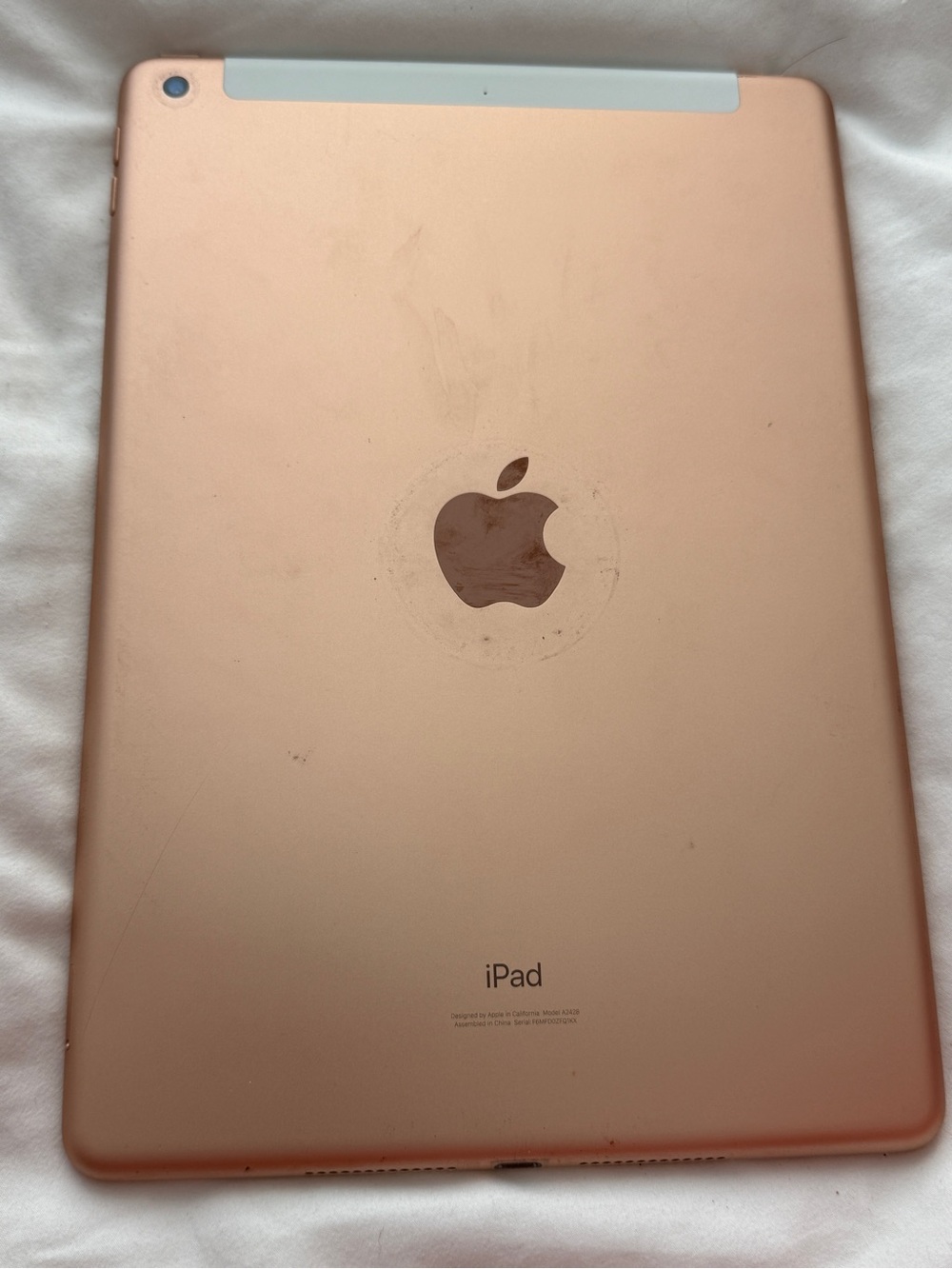 Apple iPad in Rose Gold - Rear View Tablet